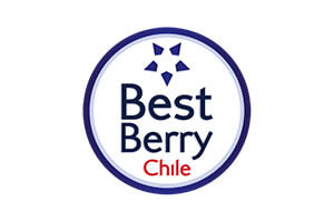Cliente Trust Consulting