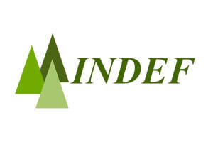 Cliente Trust Consulting